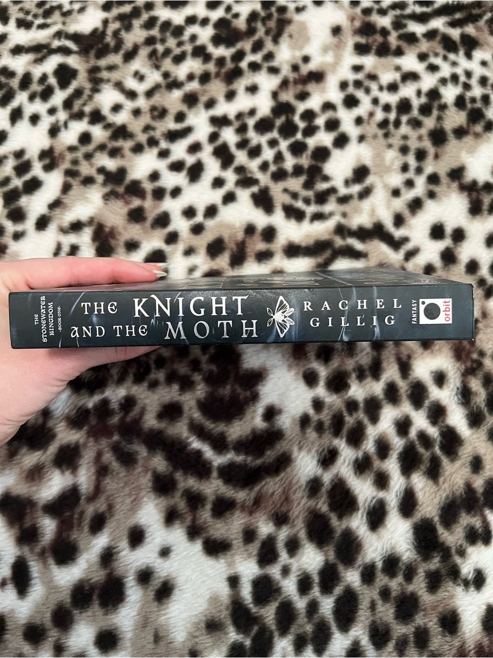 The Knight and The Moth (romantasy genre) - Picture 5 of 8